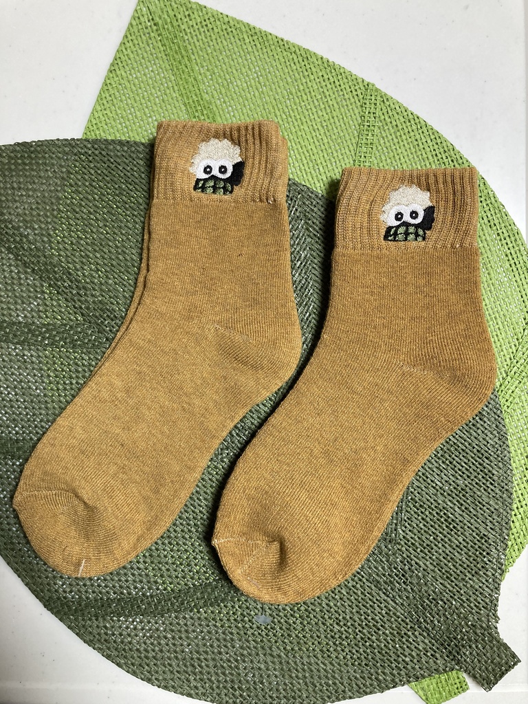 ﾀﾞｲﾅﾏﾁｬﾝ刺繍のポカポカ靴下🧦