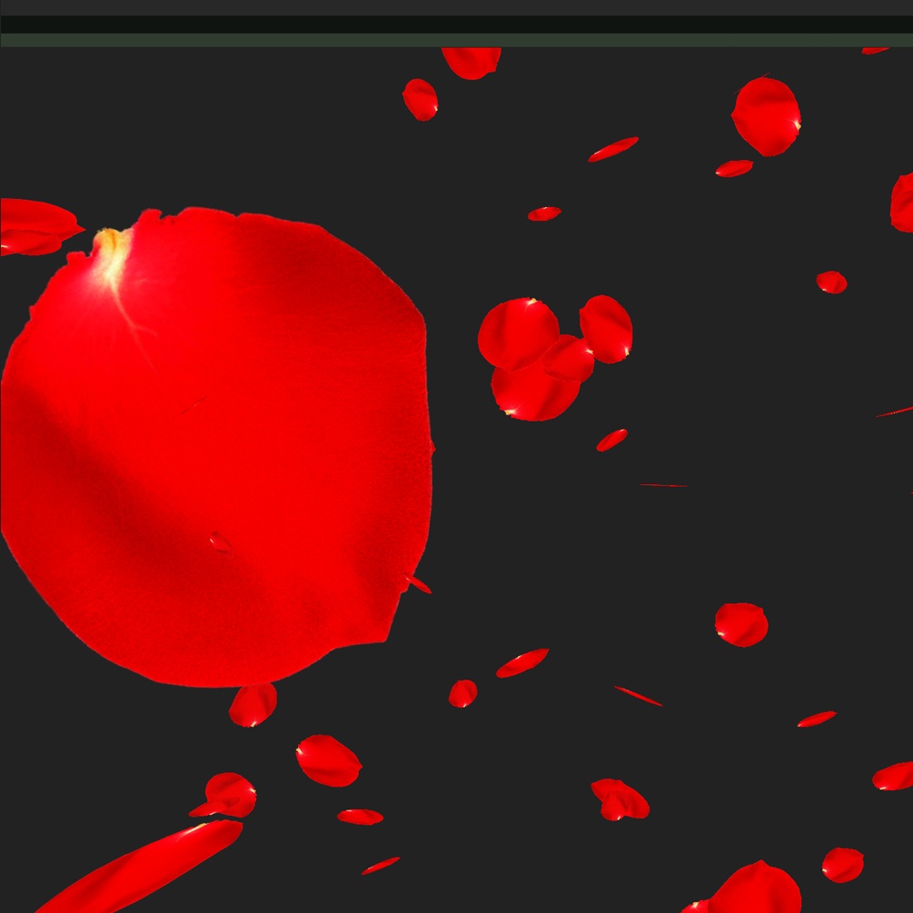 落ち葉や花びら等の漂う物パーティクルパック