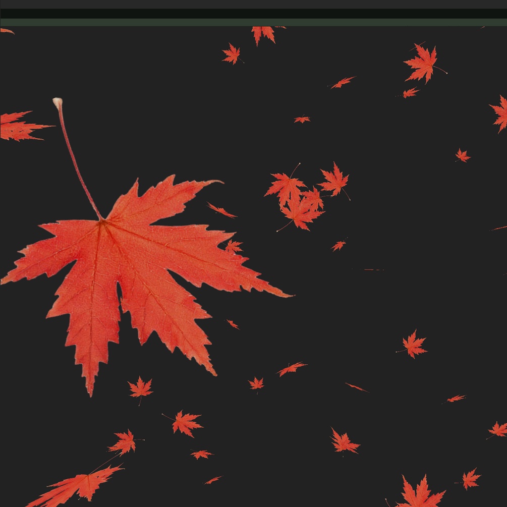 落ち葉や花びら等の漂う物パーティクルパック