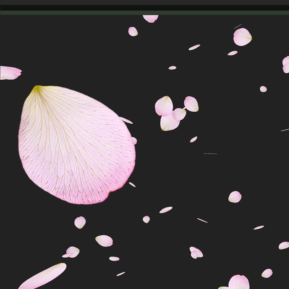 落ち葉や花びら等の漂う物パーティクルパック