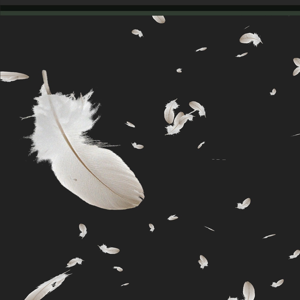 落ち葉や花びら等の漂う物パーティクルパック