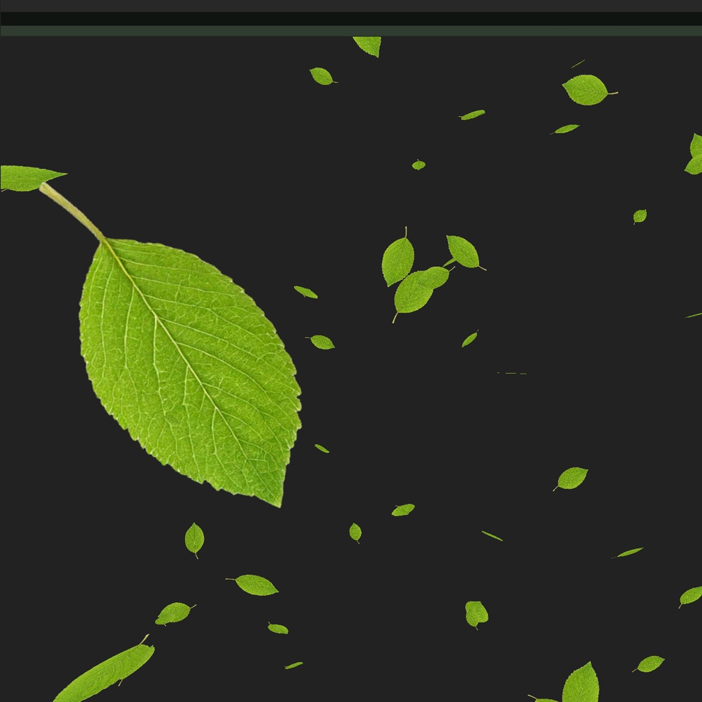 落ち葉や花びら等の漂う物パーティクルパック