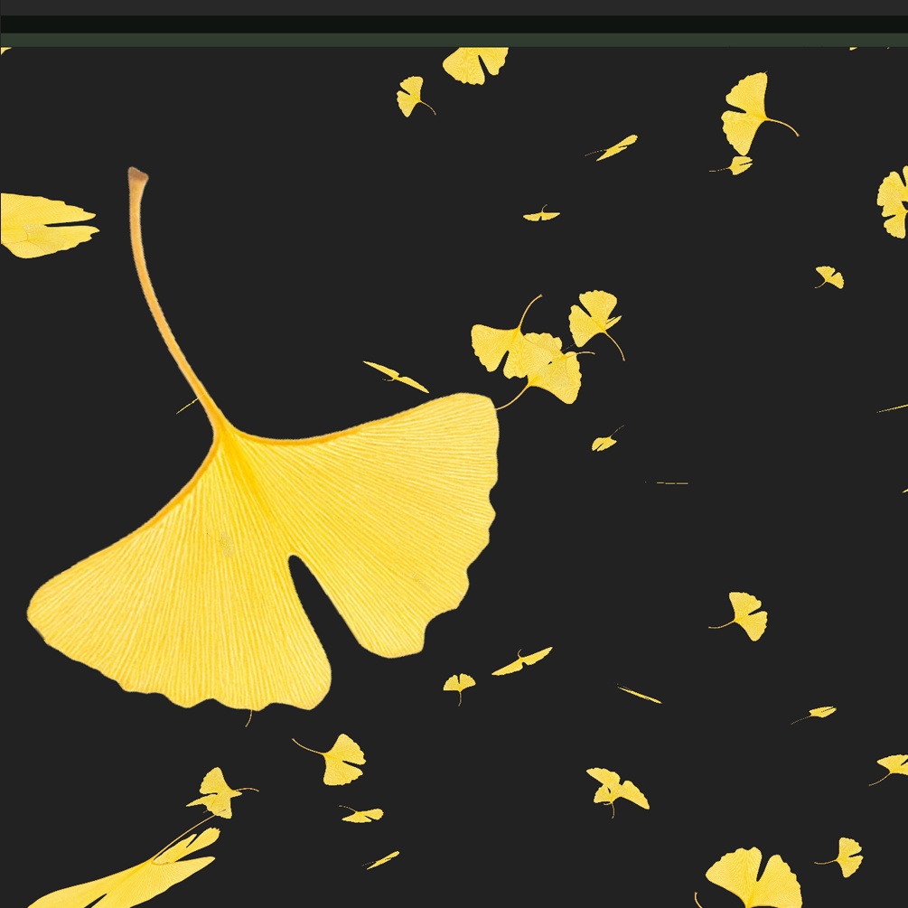 落ち葉や花びら等の漂う物パーティクルパック