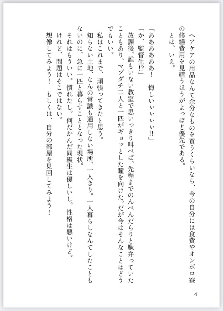 ステルス・ウィッチ