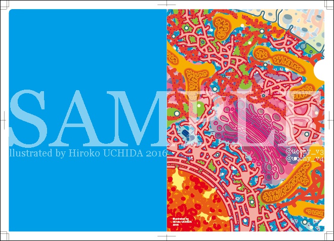 細胞図クリアファイル A4（フルカラー）