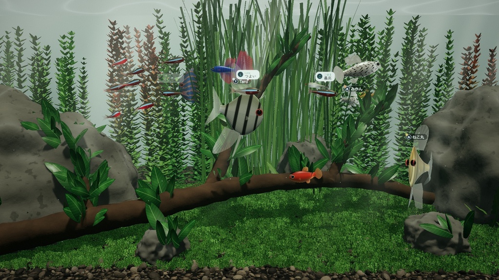 【5本セット】光が差しこむ3Dの水草水槽|動く配信背景(20秒ループ・1080p)