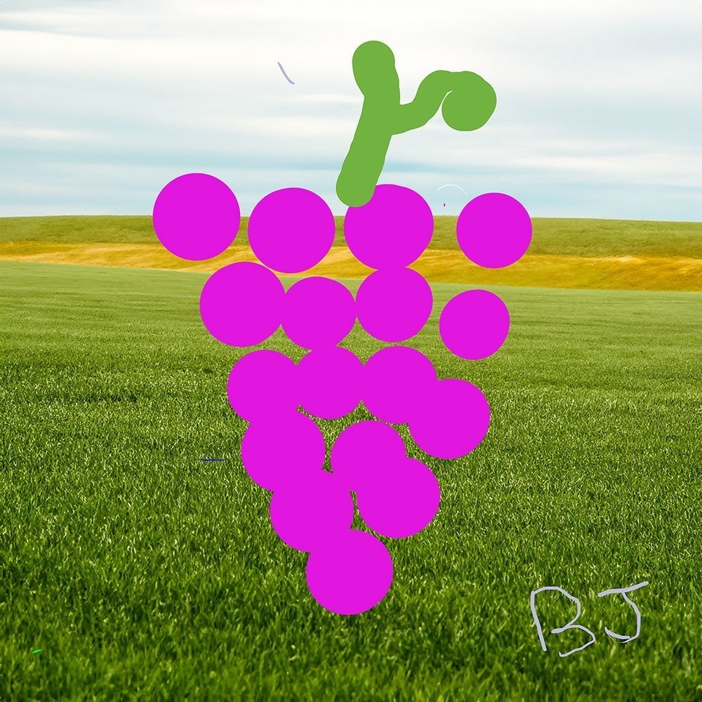 複製原画　ぶどう　作者ブラマンジェ　送料込