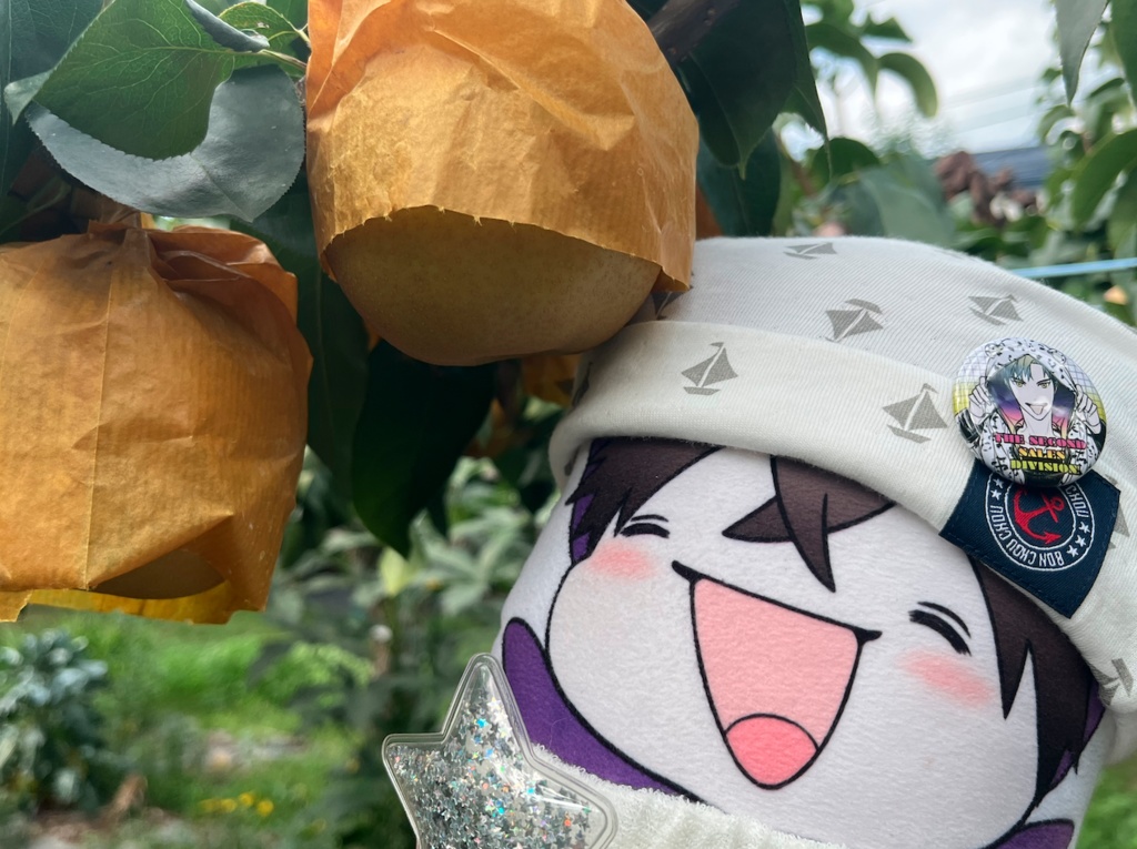 ベアちゃん等身大抱っこっこクッション