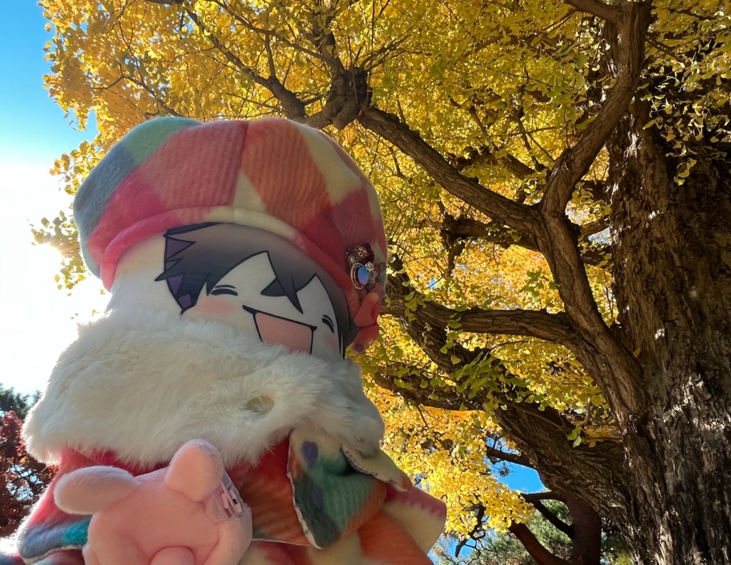 ベアちゃん等身大抱っこっこクッション