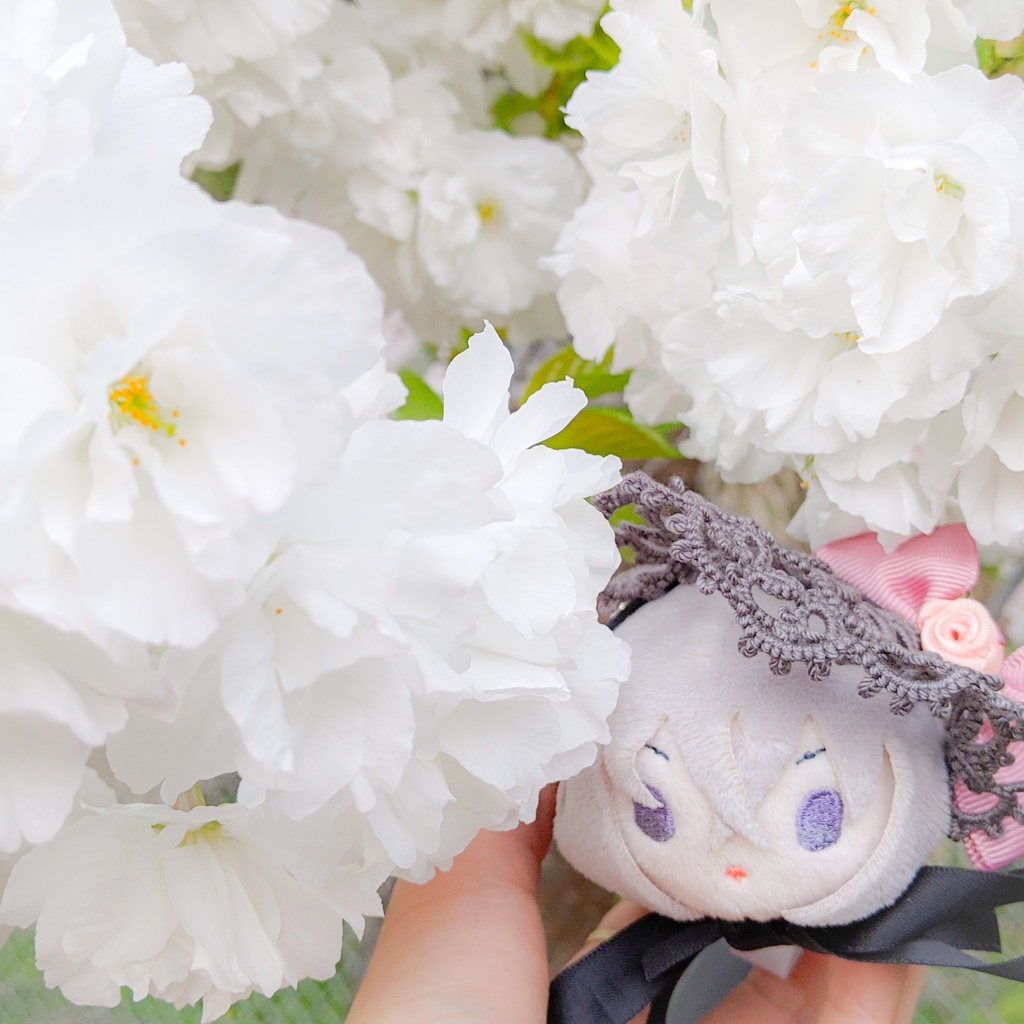 ■おまんじゅう/もちもちマスコットみに■おでかけレースボンネットリボン付き