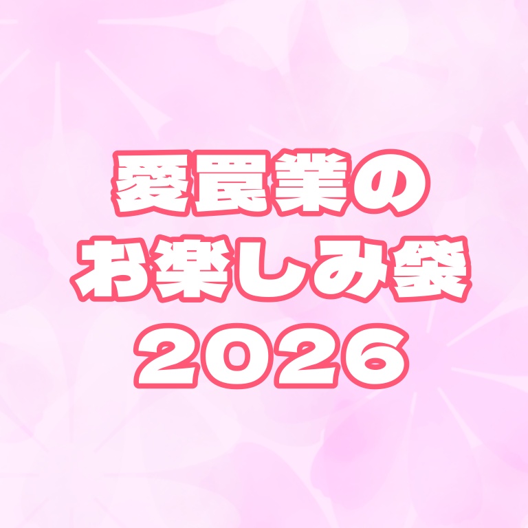 お楽しみ袋 夏