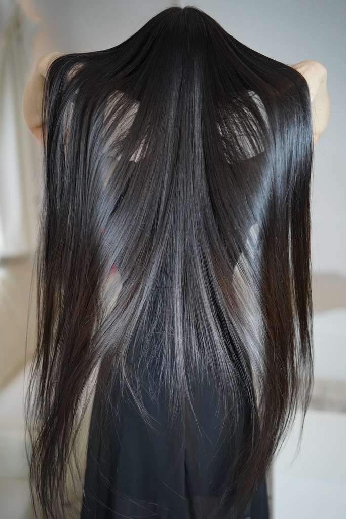 ヘアカメラ　最後の羽ばたき　A3