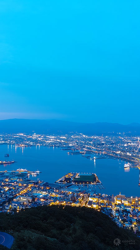 函館 夜景 壁紙 スマホ サマガトウォール