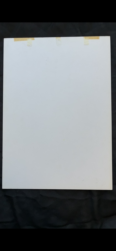 アマネのカラー原画 B4 商業使用原画 一点物