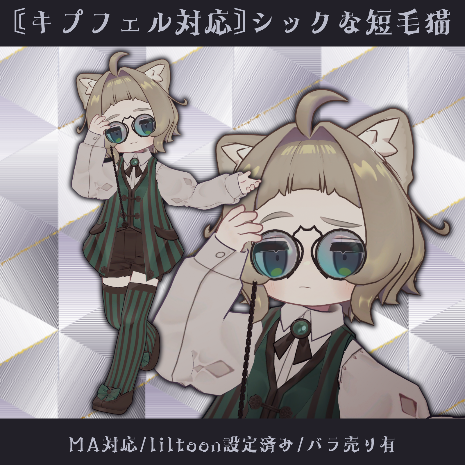 〘VRC/キプフェル用〙シックな短毛猫〘3Dファッション〙