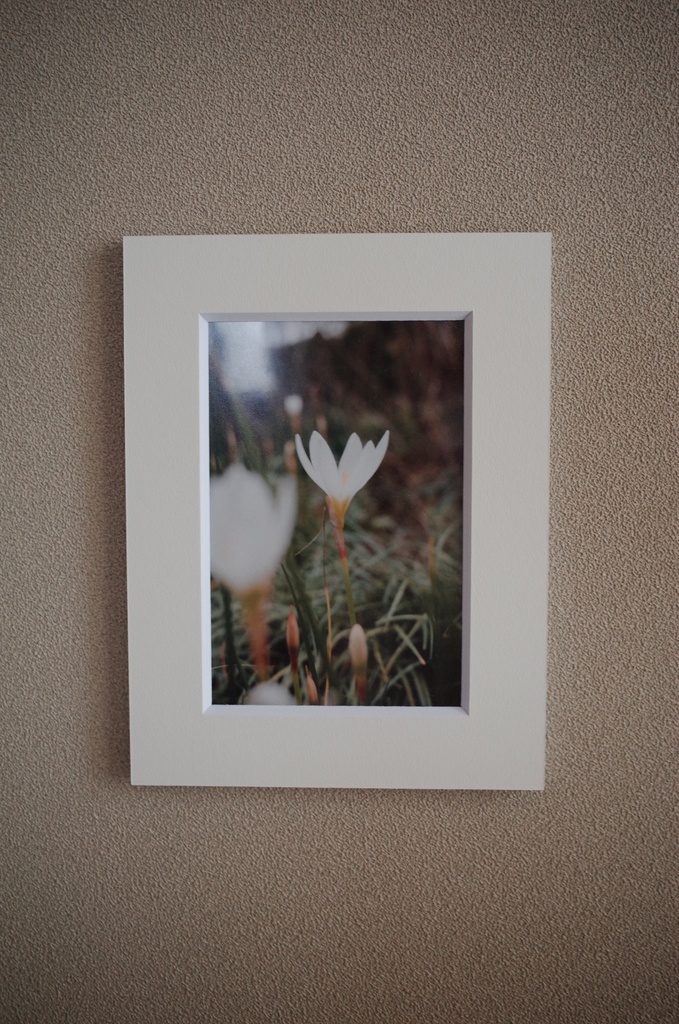 「ちいさな祈りの数々」作品No.1