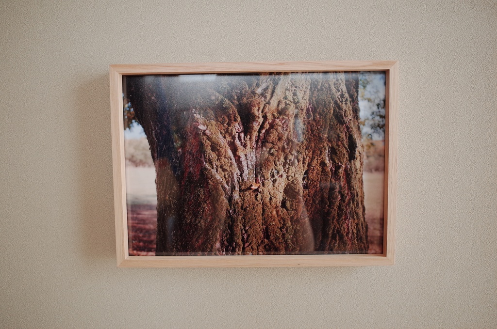 「あなたのための星であること」