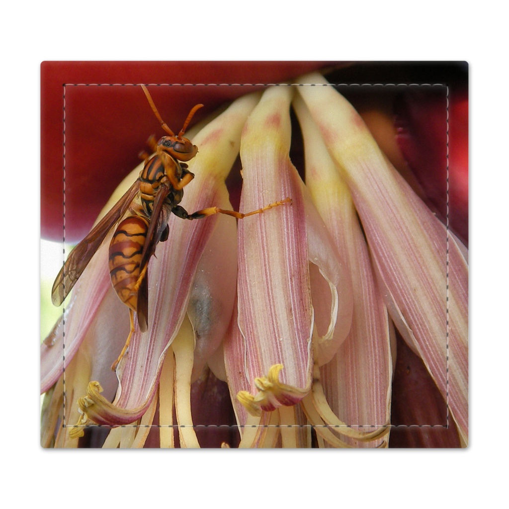 捺印マット【蜂】