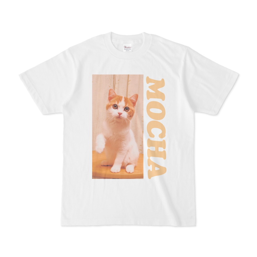 猫のTシャツA