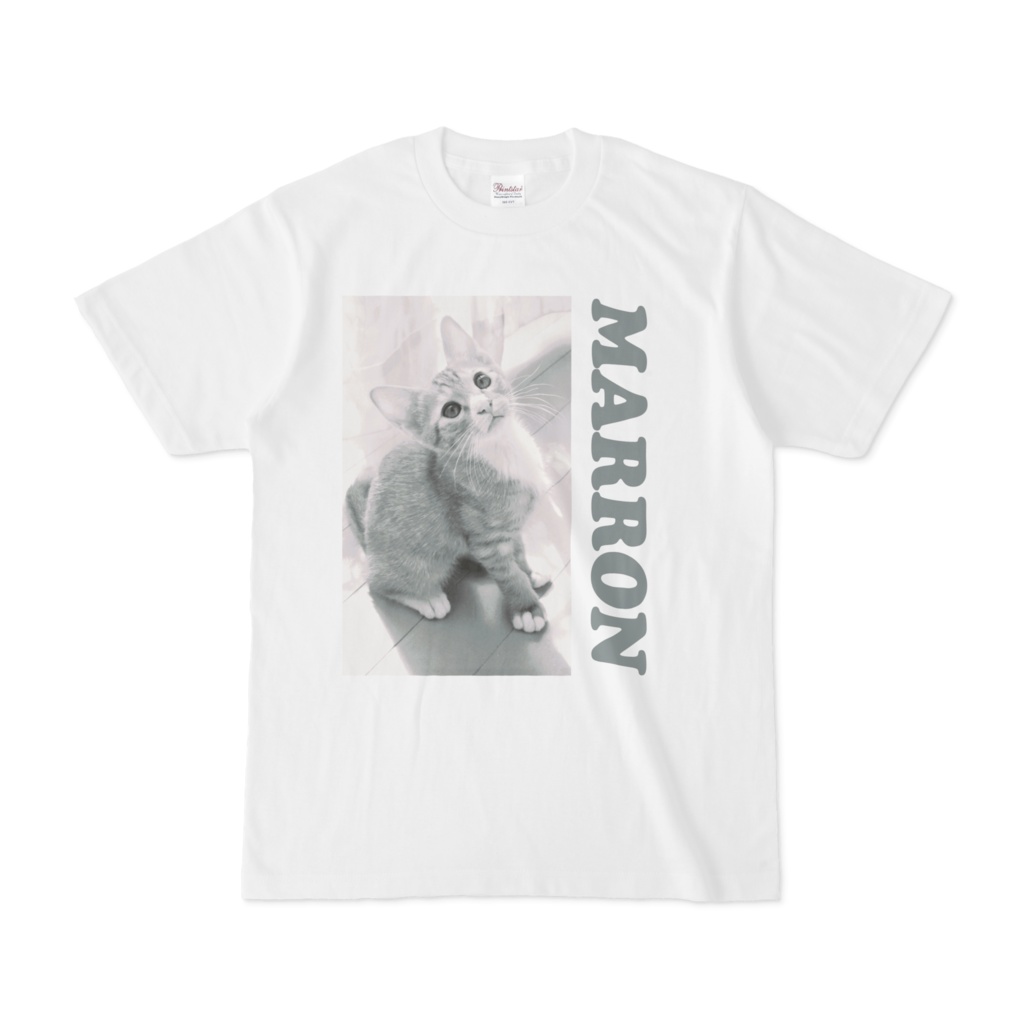 猫のTシャツAモノ