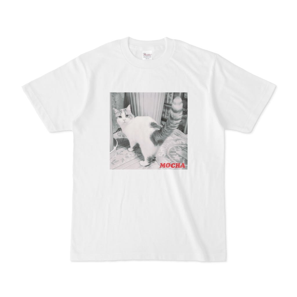猫のTシャツDモノ