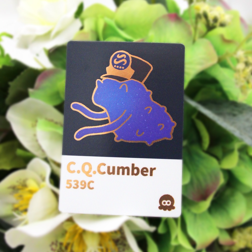 カラーチップステッカー