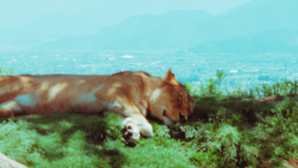 【フリーBGM】昼寝 / Nap