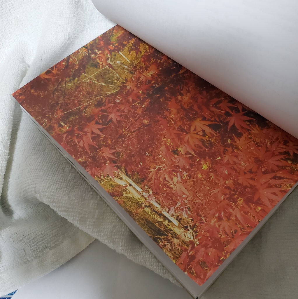 天正十二年二月彼岸【クリックポスト】