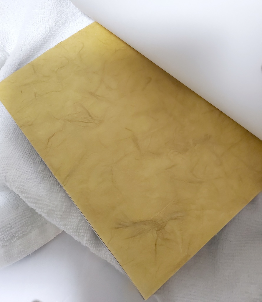 天正十二年二月彼岸【クリックポスト】