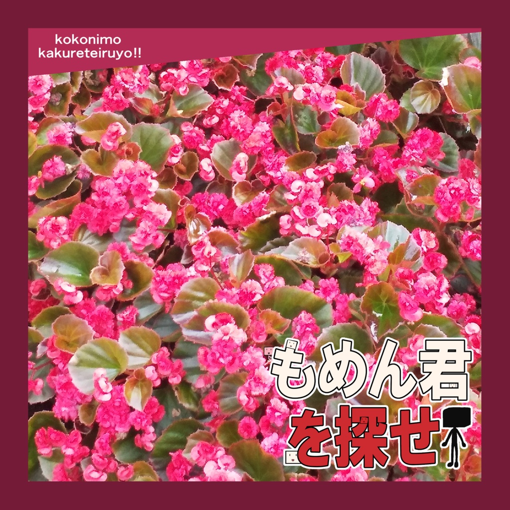 もめん君を探せ（製本版）