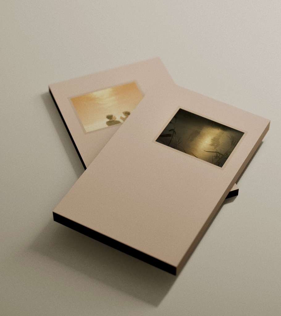 Image à la Sauvette