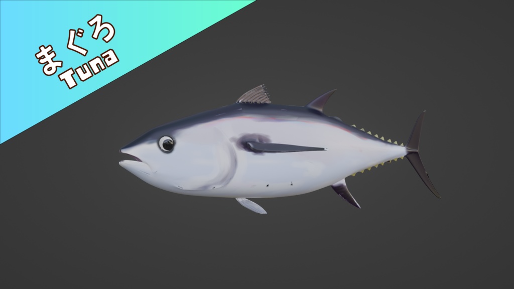 【Blender】マグロ|Tuna