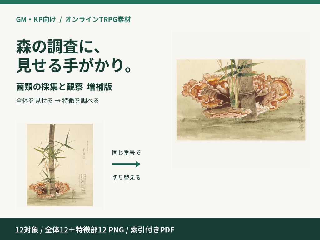 菌類の採集と観察 増補版｜TRPG調査用12対象・24PNG