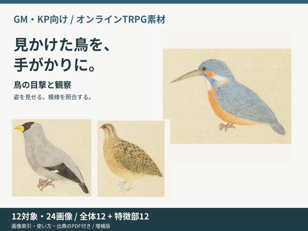 鳥の目撃と観察 増補版｜全体から特徴を見せるTRPG画像素材