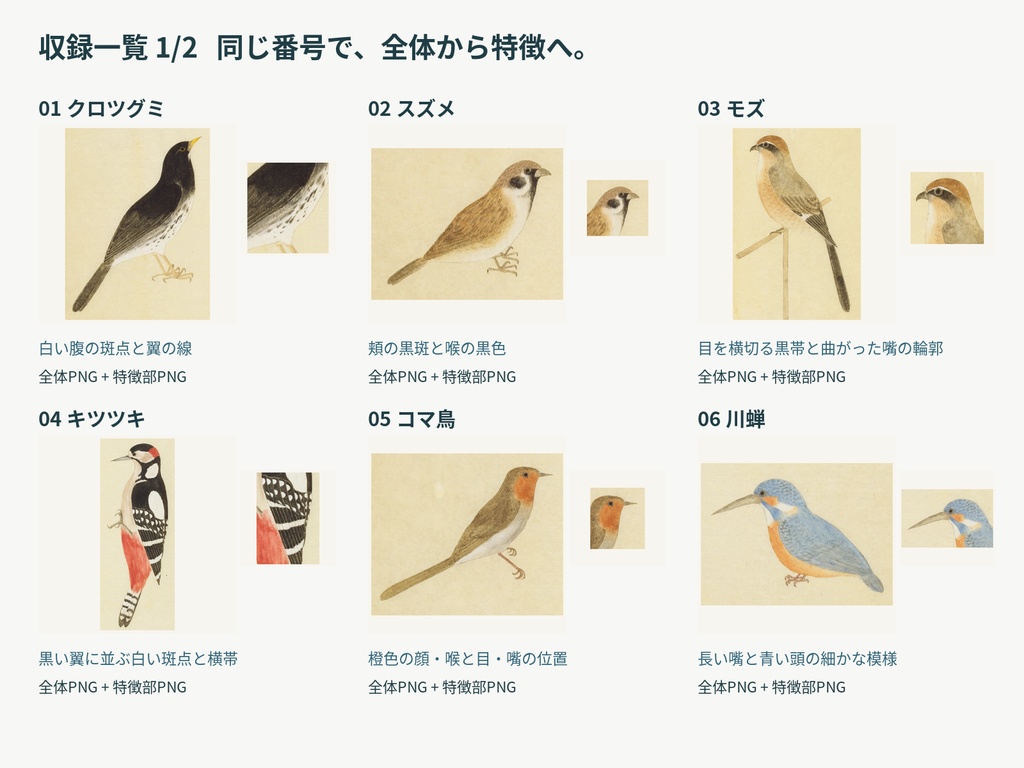 鳥の目撃と観察 増補版|全体から特徴を見せるTRPG画像素材