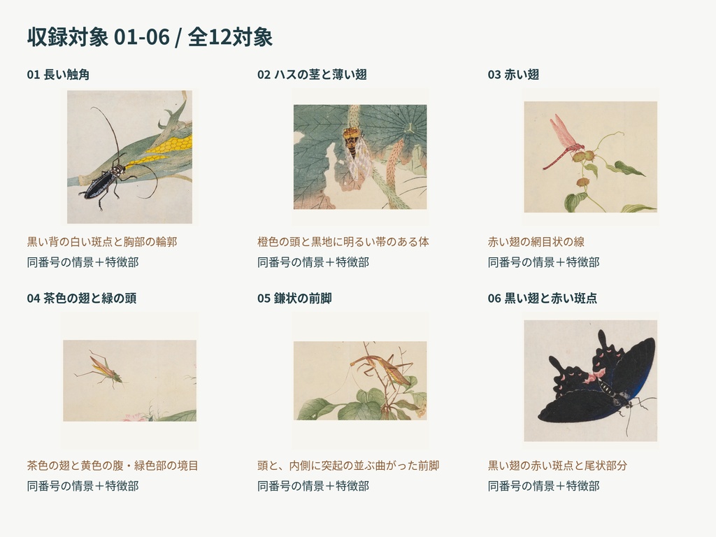 昆虫の採集と観察 強化版|情景から特徴を見せるTRPG素材12対象