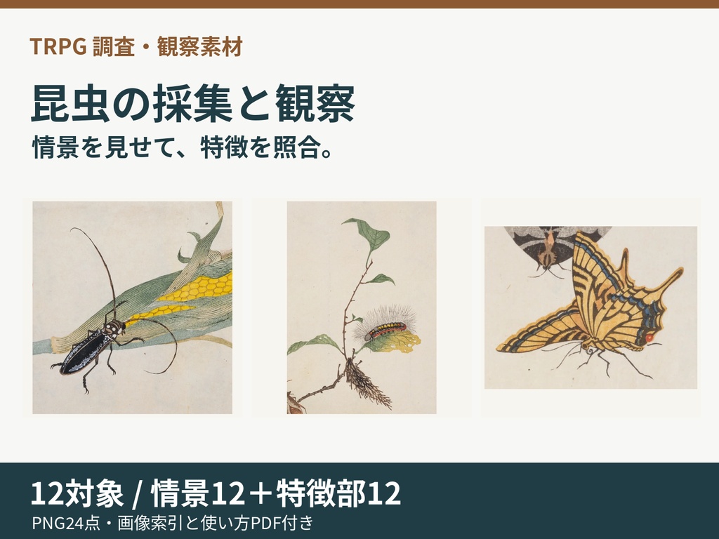昆虫の採集と観察 強化版｜情景から特徴を見せるTRPG素材12対象