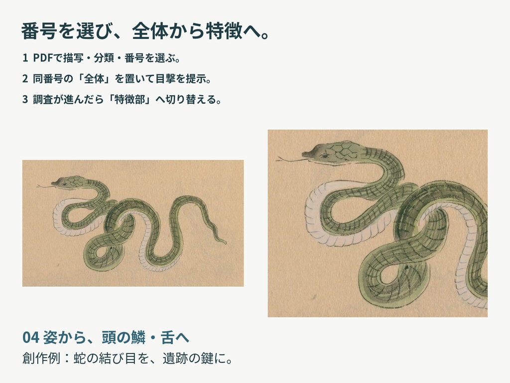 蛇の伝承と目撃|12描写の全体と特徴部を選ぶTRPG画像素材