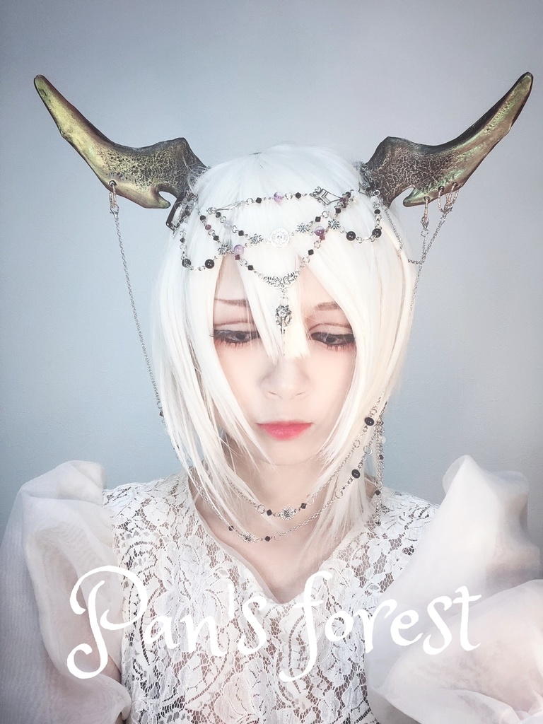 Pierce horn (ピアスホーン