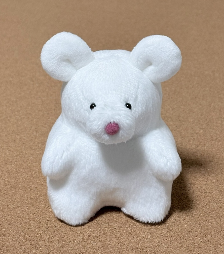 デブボディ‼これから何にでもなれる型紙【期間限定無料10/31まで】