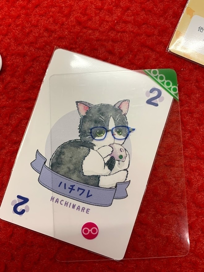 めがぷろ!全女子めがねっ娘化計画