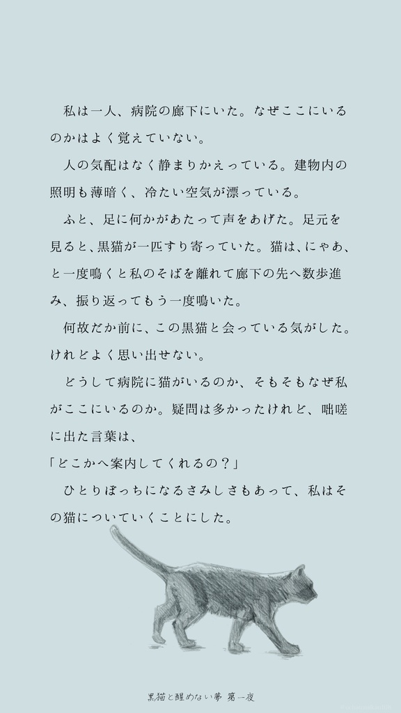黒猫と醒めない夢【謎解きゲーム】