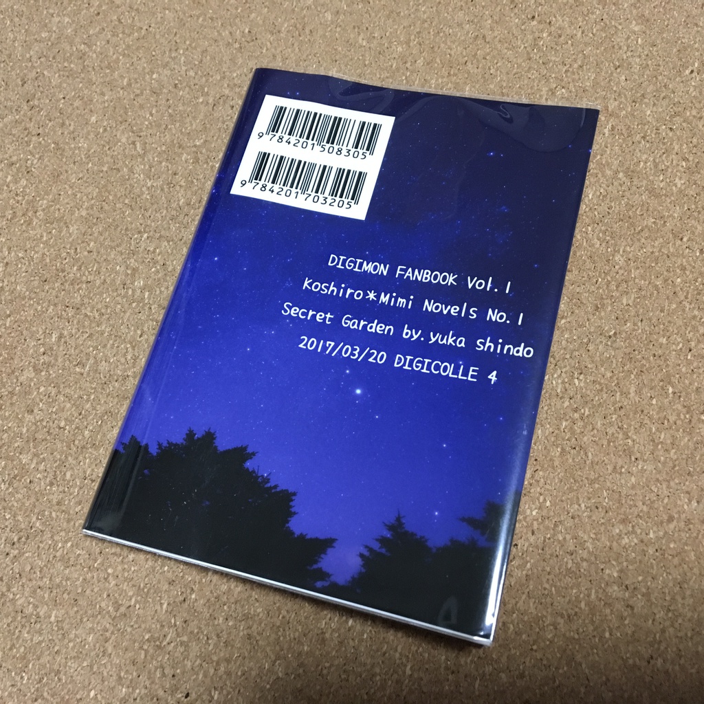 キミと見たいつかの夜空