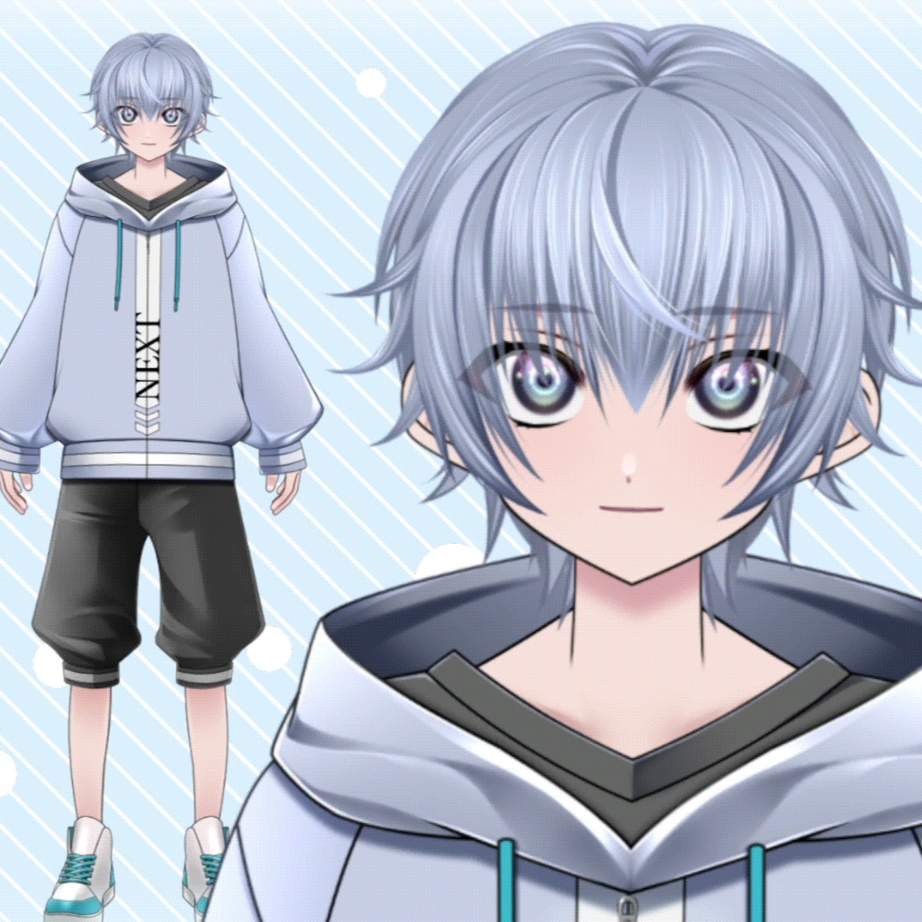 【live2D汎用】Vtuberモデル 雑談 歌枠 ゲーム配信に便利な差分色々 NEXT君