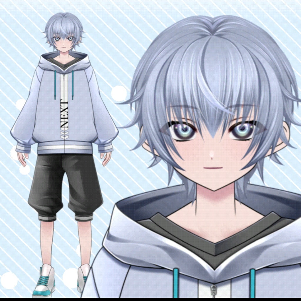 【live2D汎用】Vtuberモデル 雑談 歌枠 ゲーム配信に便利な差分色々 NEXT君