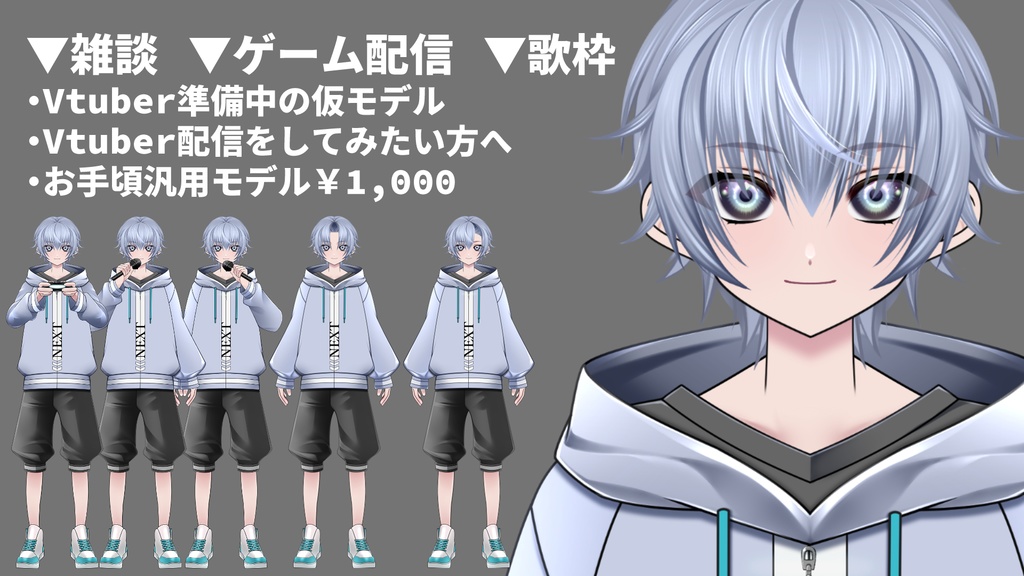 【live2D汎用】Vtuberモデル 雑談 歌枠 ゲーム配信に便利な差分色々 NEXT君