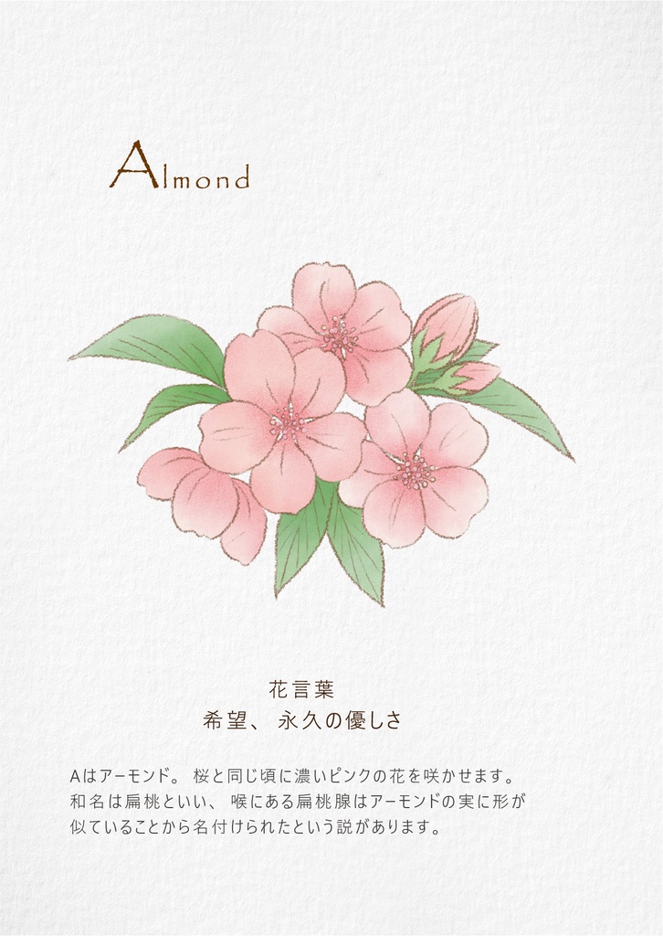 Botanical Initials A to Z