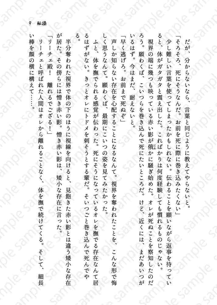 鉄仮面の色は思案の外 弐