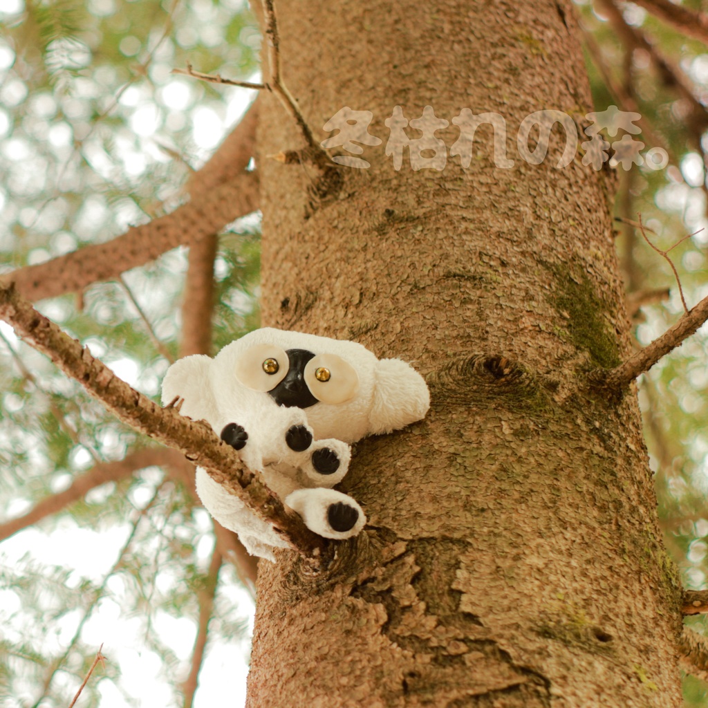 【血界】冬枯れの森。【匿名配送】