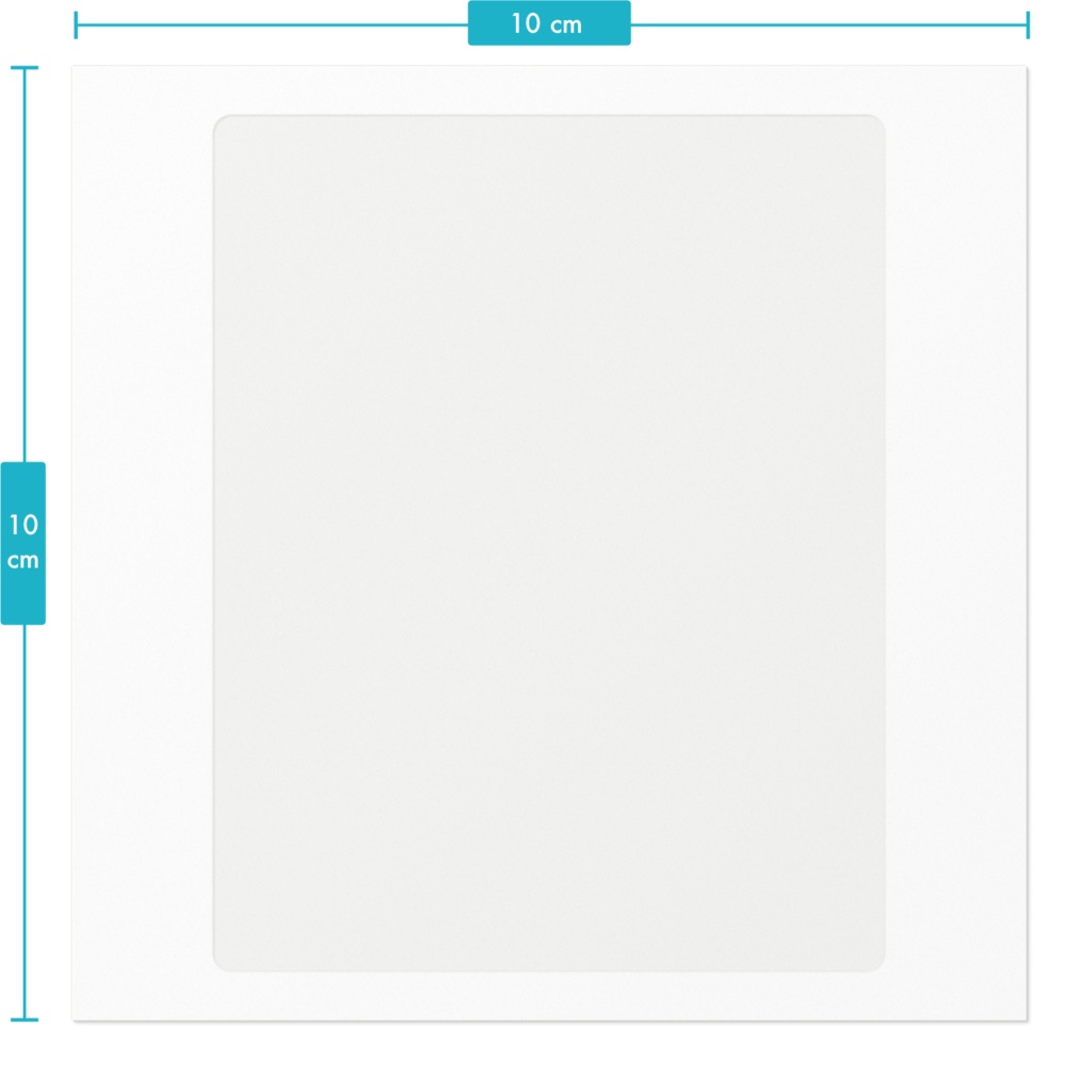 SECHS(ゼックス)1*レッチェのステッカー1。